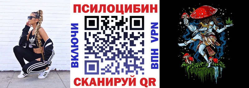 Псилоцибиновые грибы Psilocybe  Обнинск 