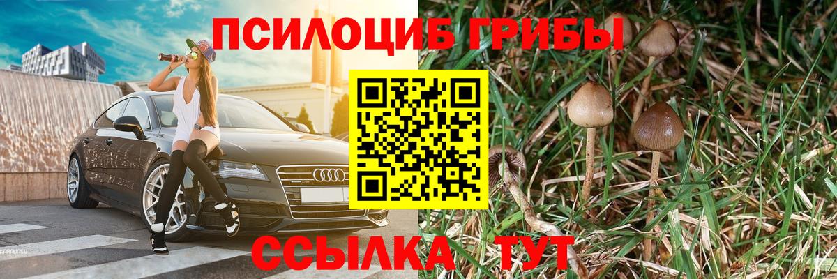 Псилоцибиновые грибы мухоморы Обнинск