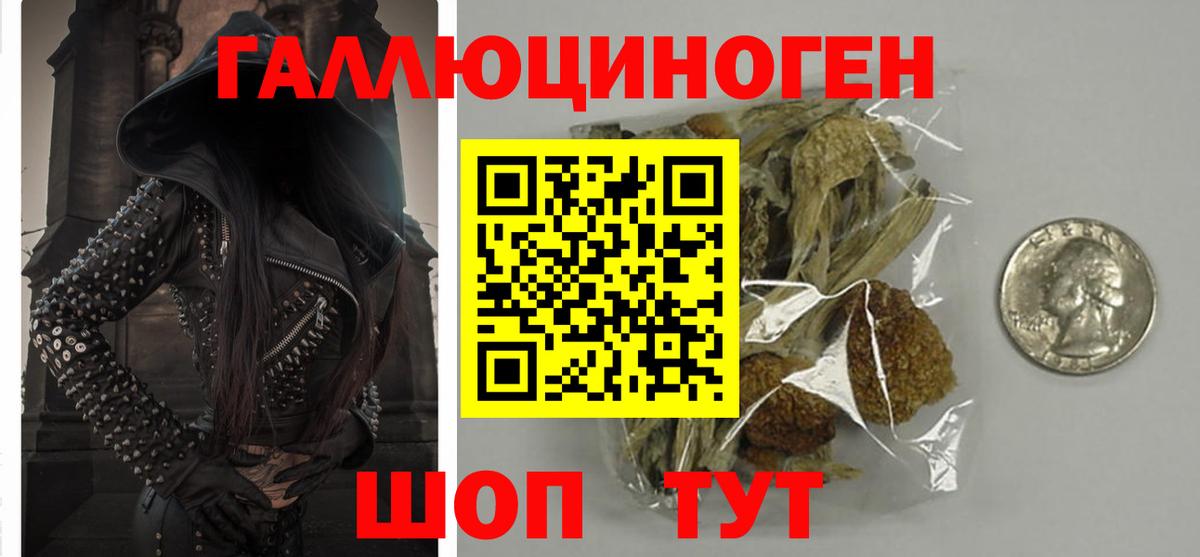 Обнинск  Псилоцибиновые грибы Magic Shrooms  Вход с VPN  Псилоцибиновые грибы Psilocybe 